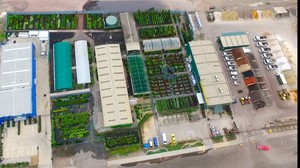 All Green Nursery & Garden Supply Pic 5 - All Green is set on more than 5 acres in Hoppers Crossing