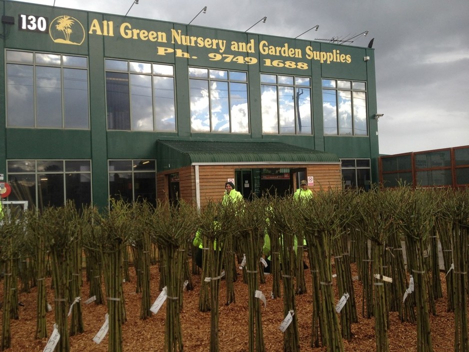 All Green Nursery & Garden Supply in Hoppers Crossing, Melbourne, VIC