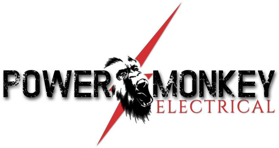 Power Monkey Electrical Pic 1