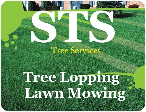 STS Tree Services Pic 1