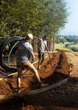 Naturescapes Byron Bay Pic 2 - NatureScapes Landscaping Byron Bay Irrigation System