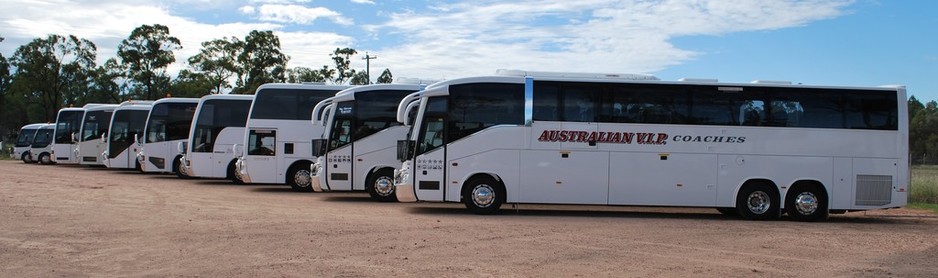 Australian VIP Coaches Pic 2