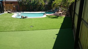 Kombo Artificial Grass Pic 2