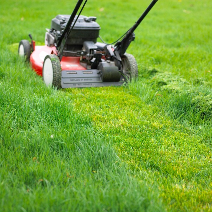 Lawn Mowing Mernda Pic 1