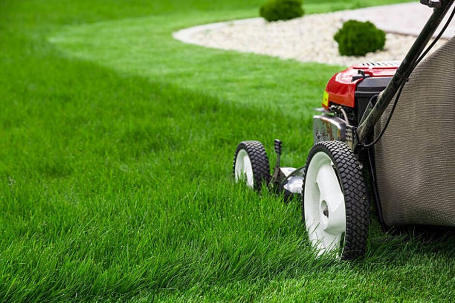 Lawn Mowing Mernda Pic 2