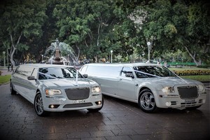 Show Limousines Pic 4