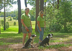 Tallowood kennels store