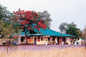 Wauchope Hotel and Roadhouse Pic 1 - Wauchope Hotel and Roadhouse Wauchope