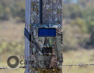 Outdoor Cameras Australia Pic 3 - RidgeTec Summit4 3G camera