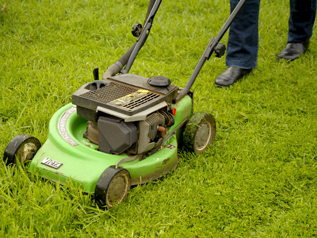 Bluebox Lawnmowing Services Pic 1 - Lawn Mowing