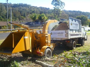 Urban & Bush Tree Services Pic 2 - Our wood chipper makes short work of eucalyptus foliage