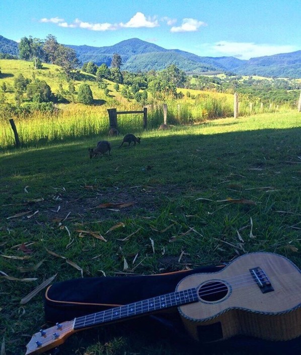 Nimbin Rox Yha Pic 2