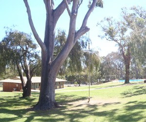 Serpentine Camping Centre Pic 2 - The vast grassed grounds are maintained to a high standard