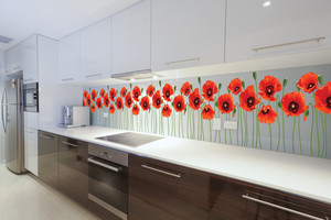 Visual Glass Tech Pic 4 - Printed Glass Kitchen Splashback