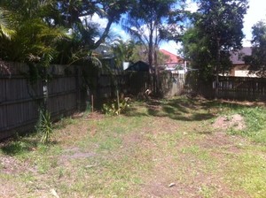 Easy Access Dingo Hire Pic 5 - Land clearing and landscaping Mt Gravatt before