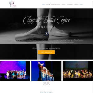 NeonDragonfly Web Design Pic 2