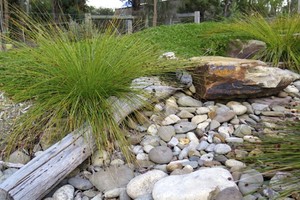 Sue Meli Landscape Designs Pic 2