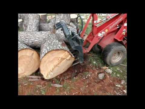 Tree Services Coffs harbour Pic 1 - All Tree Services coffs harbour