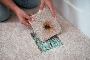 Invisible Carpet Repair Hobart Pic 3