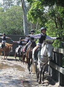 Gold Coast Equestrian Centre In Guanaba Qld Horses Equestrian Truelocal