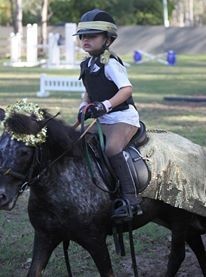Gold Coast Equestrian Centre In Guanaba Qld Horses Equestrian Truelocal