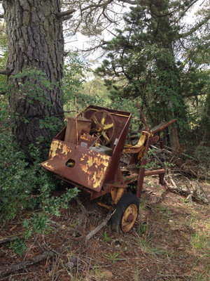 Logan Brae Orchards Pic 5