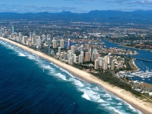 Pest Control Gold Coast Pic 1 - pest control gold coast