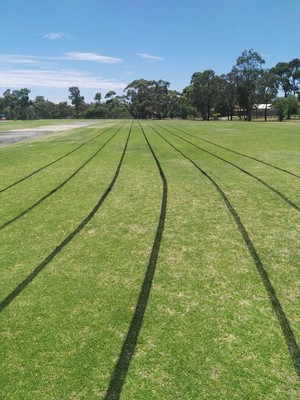 Ingle Farm Little Athletics Centre Pic 5 - Ingle Farm Little Athletics Centre Oval