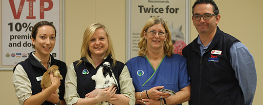 Our Vet Fyshwick Pic 1 - LR Dr Jenny Dr Laura Coralie Store General Manager Robert