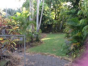 All About Garden Care Darwin Pic 2 - Before