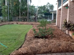 All About Garden Care Darwin Pic 4