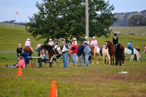 Murrumbateman Adult Riding Club - MARC Pic 4 - Murrumbateman Adult Horse Riding Club MARC