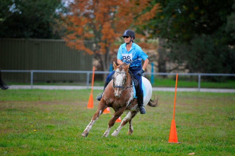 Murrumbateman Adult Riding Club - MARC Pic 1 - Murrumbateman Adult Horse Riding Club MARC Mounted Games 2014