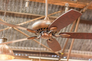 Rolly's Electrical Pic 5 - Fan at She Speaks Gallery