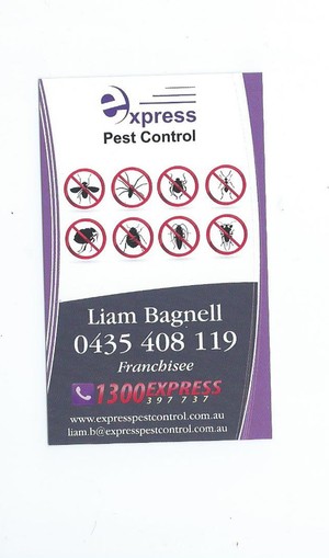 Express Pest Control Pic 3