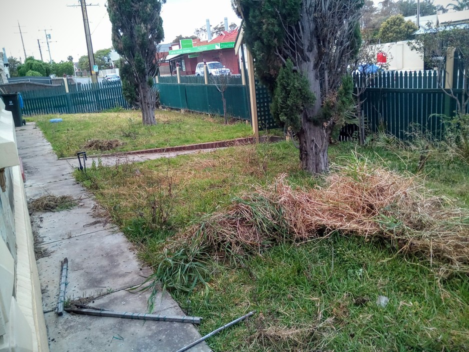 Aussieplus Lawn & Garden Care Pic 1 - Before