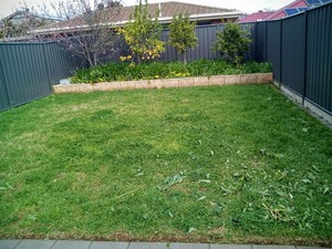 Aussieplus Lawn & Garden Care Pic 3 - Before