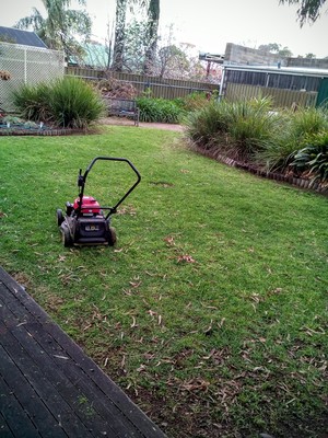 Aussieplus Lawn & Garden Care Pic 5 - Before