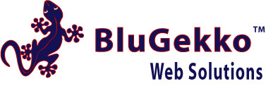 BluGekko Web Solutions Pic 1