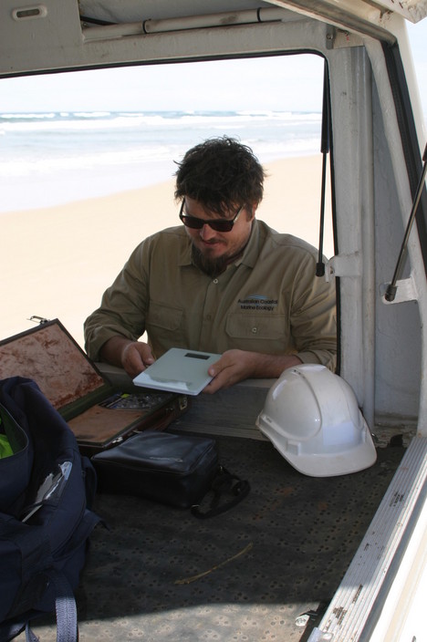 Australian Coastal and Marine Ecology Pic 1 - Excellence in Environmental Consulting