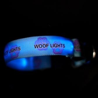 Woof Lights - LED Flashing Dog Collars, Leads and Harnesses Pic 1 - Blue Woof Lights Collar