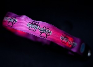 Woof Lights - LED Flashing Dog Collars, Leads and Harnesses Pic 2 - Purple Woof Lights Collar