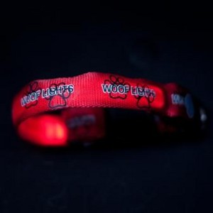 Woof Lights - LED Flashing Dog Collars, Leads and Harnesses Pic 5 - Red Woof Lights Collar