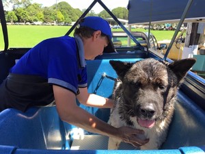 James' Mobile Pet Grooming & Hydrobath Pic 3