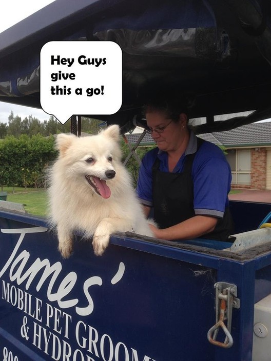 James' Mobile Pet Grooming & Hydrobath Pic 1