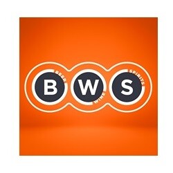 BWS Hurstville East Quarter Pic 1 - logo