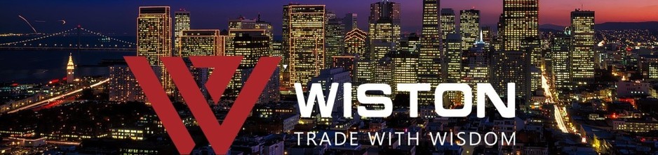 WISTON INVESTMENT CAPITAL PTY LTD Pic 1