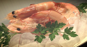 Latitude Fisheries Pty Ltd Pic 2 - Fresh Cooked Prawns