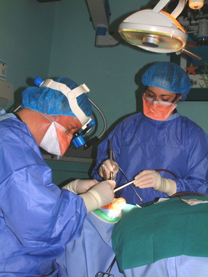 Dr David GH Cable - Endodontist Pic 5 - microsurgical endodontics