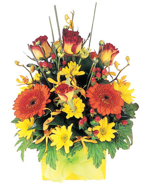 Wilsons Civic Florist Pic 3 - Seasonal Bright Box Arrangement